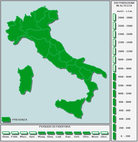 2054608643_CARTINAinBIANCO-TUTTAPIENA-Copia(3).jpg.d29ea3a9e6bb30a0bcb1efa1a4245034.jpg