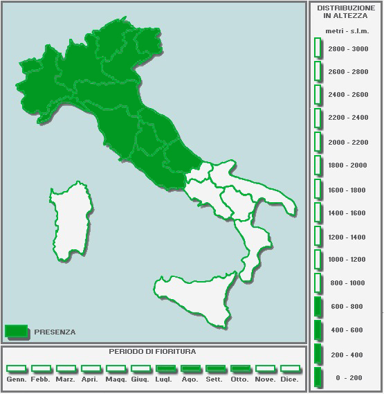 793568531_CARTINAinBIANCO-Copia-Copia-Copia(3)-Copia.jpg.43a61a4b74cc536846df9fca560de0b0.jpg