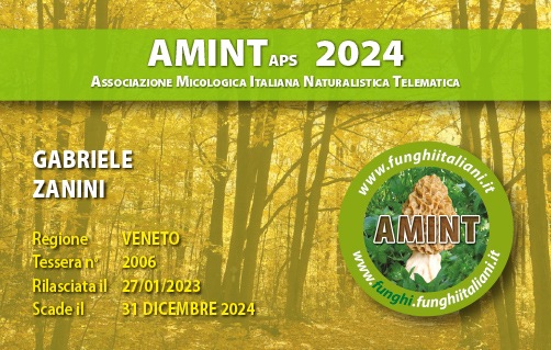 Tessera-AMINT-2006-2024.jpg