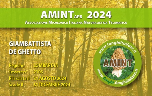 Tessera-AMINT-2103-2024.jpg