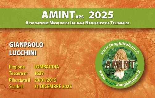 Tessera-AMINT-1637-2025.jpg