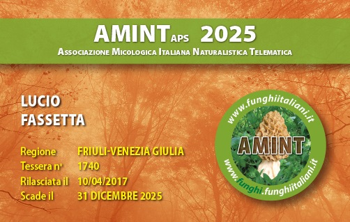 Tessera-AMINT-1740-2025.jpg