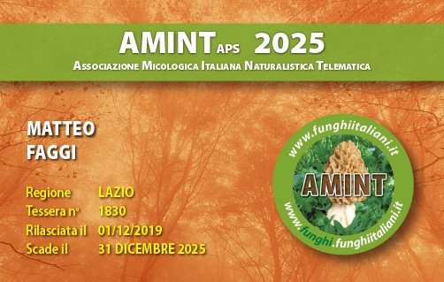 Tessera-AMINT-1830-2025.jpg