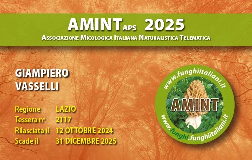 Tessera-AMINT-2117-2025.jpg