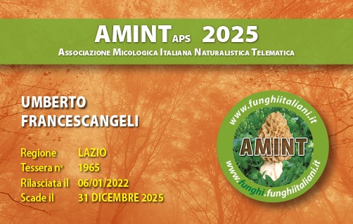 Tessera-AMINT-1965-2025.jpg